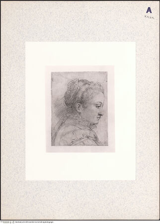 Vorderseite von bh435640_recto