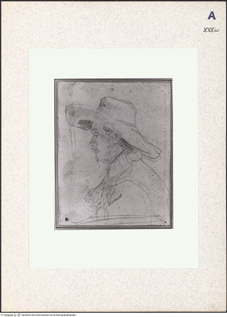 Vorderseite von bh435643_recto