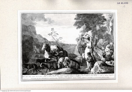 Vorderseite von bh435816