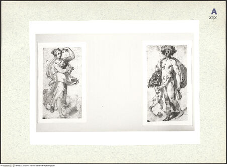 Vorderseite von bh435823_recto