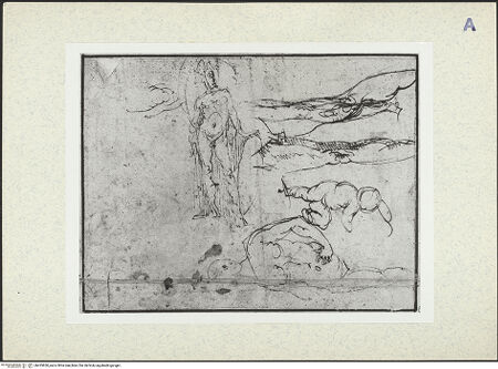 Vorderseite von bh435830_recto