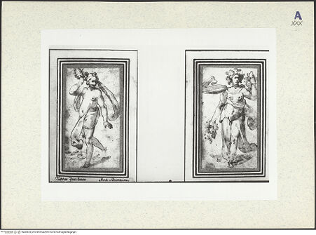 Vorderseite von bh435833_recto