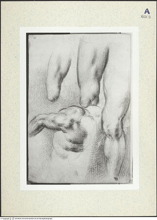 Vorderseite von bh435849_recto