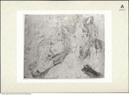 Vorderseite von bh435850_recto