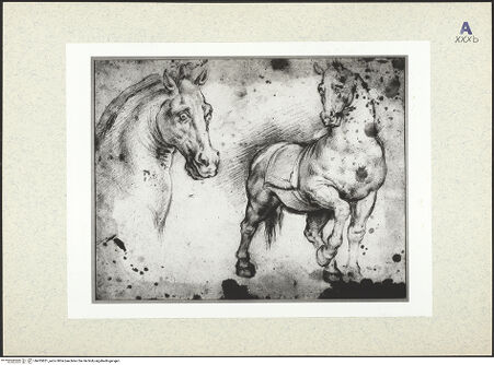 Vorderseite von bh435851_recto