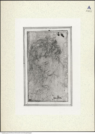 Vorderseite von bh435852_recto