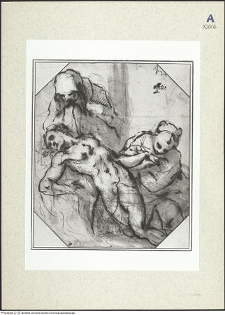 Vorderseite von bh435855_recto