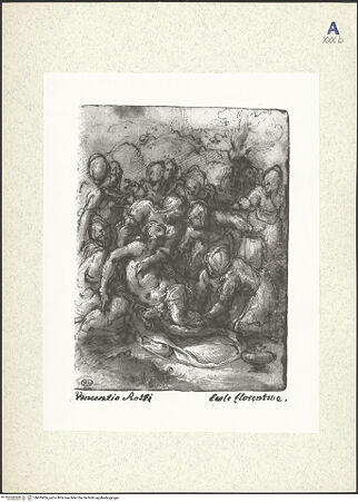 Vorderseite von bh435856_recto