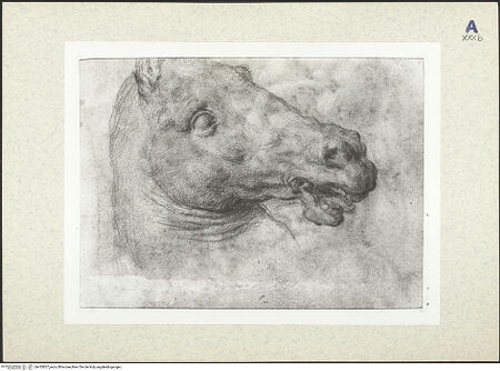 Vorderseite von bh435857_recto