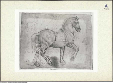 Vorderseite von bh435858_recto