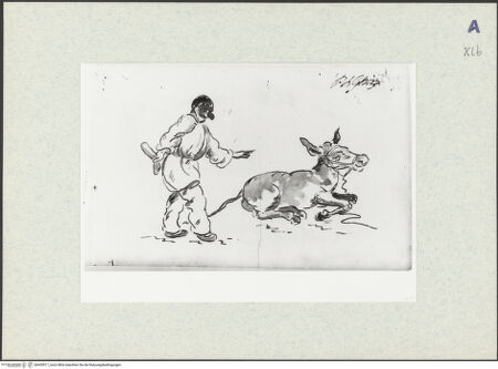 Vorderseite von bh435917_recto