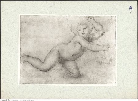 Vorderseite von bh435952_recto