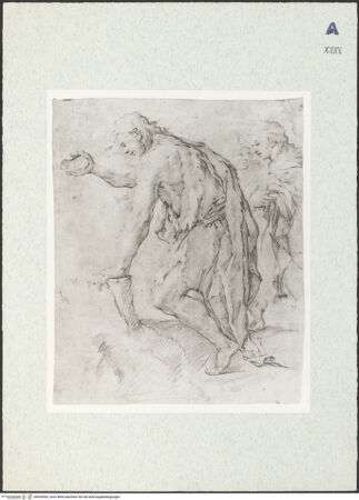 Vorderseite von bh435953_recto