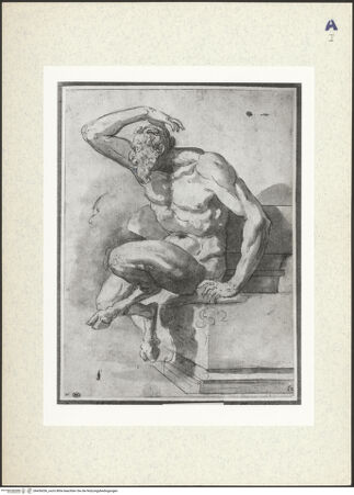 Vorderseite von bh436036_recto