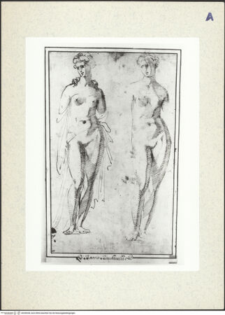 Vorderseite von bh436038_recto