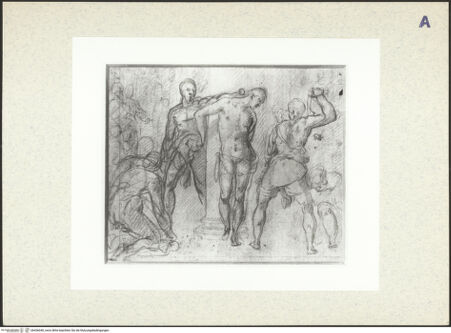 Vorderseite von bh436040_recto