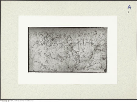 Vorderseite von bh436041_recto