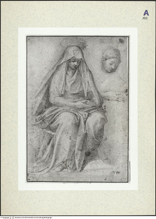 Vorderseite von bh436052_recto