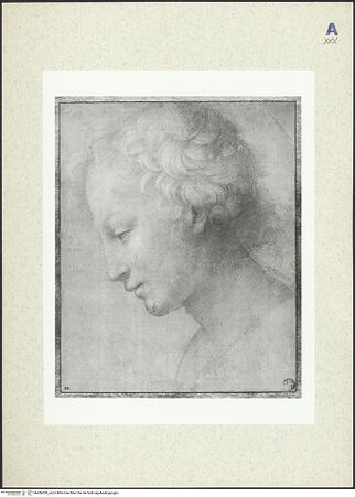 Vorderseite von bh436059_recto