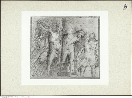 Vorderseite von bh436062_recto