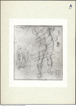 Vorderseite von bh436063_recto