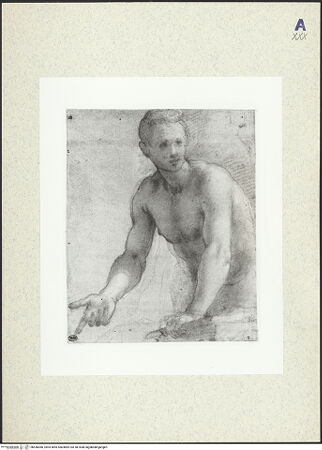 Vorderseite von bh436066_recto