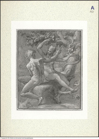 Vorderseite von bh436068_recto