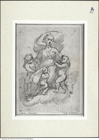 Vorderseite von bh436080_recto