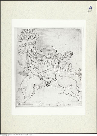 Vorderseite von bh436084_recto