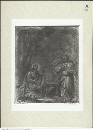 Vorderseite von bh436089_recto