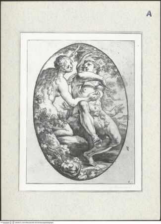 Vorderseite von bh436213_recto