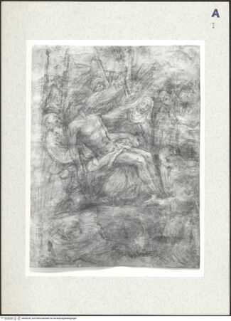 Vorderseite von bh436230_recto