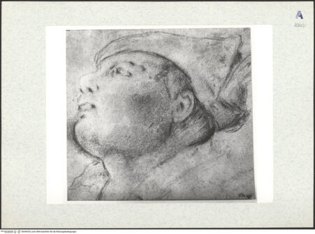 Vorderseite von bh436232_recto