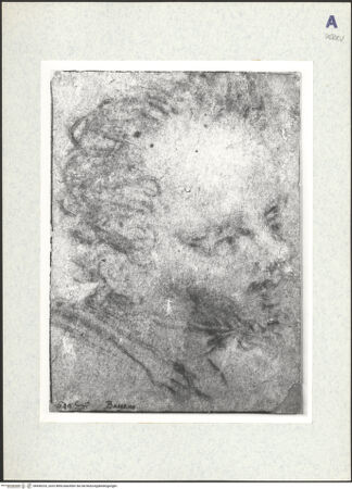 Vorderseite von bh436233_recto