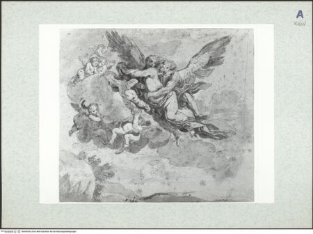 Vorderseite von bh436246_recto