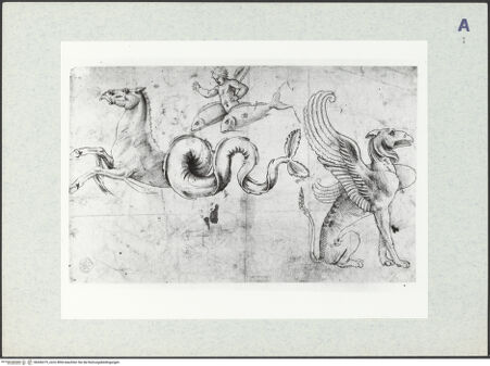 Vorderseite von bh436275_recto