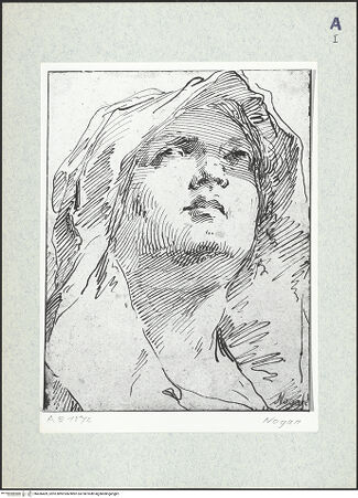 Vorderseite von bh436409_recto