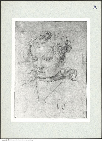 Vorderseite von bh436411_recto