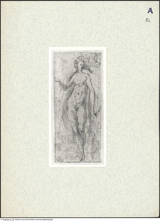 Vorderseite von bh436452_recto