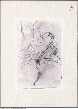 Vorderseite von bh436460_recto