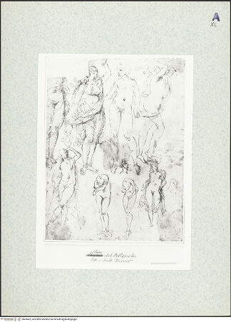 Vorderseite von bh436462_recto