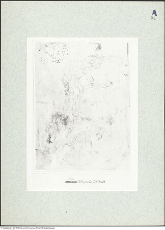 Vorderseite von bh436463_recto