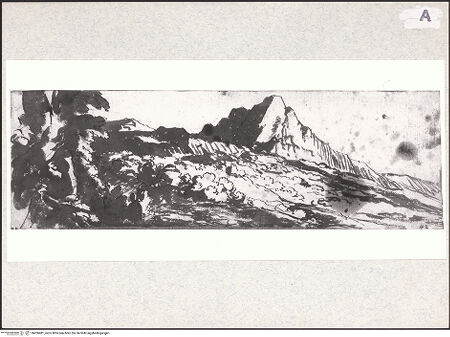 Vorderseite von bh436481_recto