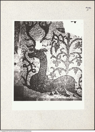 Vorderseite von bh436924_recto