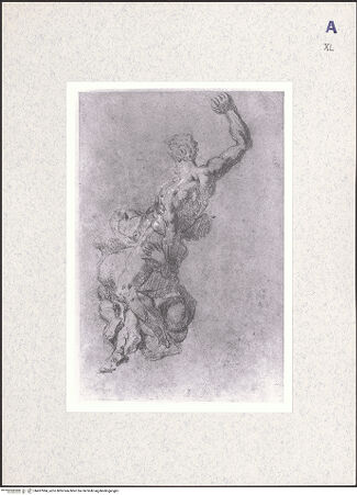 Vorderseite von bh437084_recto