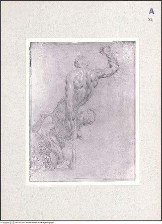 Vorderseite von bh437093_recto