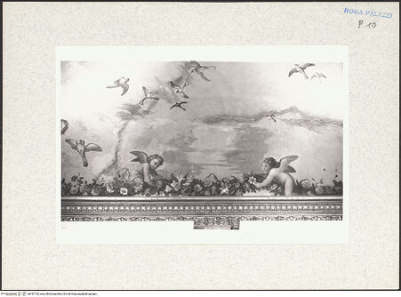 Vorderseite von bh437152_recto