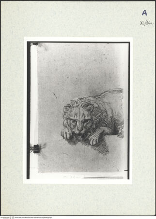 Vorderseite von bh437305_recto