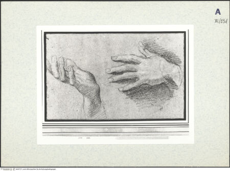 Vorderseite von bh437311_recto