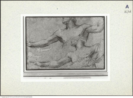 Vorderseite von bh437315_recto